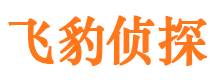 紫云市侦探调查公司